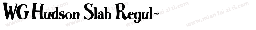 WG Hudson Slab Regul字体转换